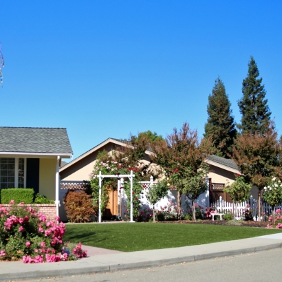 Synthetic Turf Supplier Shackle Island, Tennessee Landscape Photos, Front Yard Landscaping Ideas