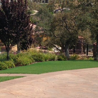 Synthetic Turf Supplier Vonore, Tennessee Design Ideas, Backyard Landscaping