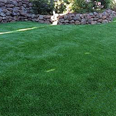 Synthetic Turf Vonore, Tennessee Lawns, Backyard Landscaping Ideas