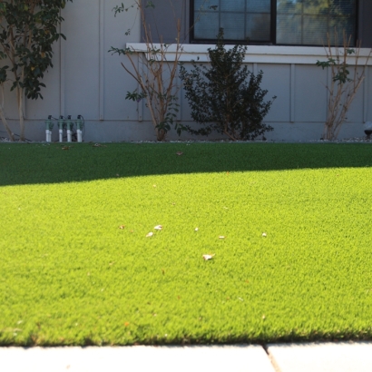 Turf Grass Alcoa, Tennessee Landscaping, Landscaping Ideas For Front Yard