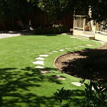 Turf Grass Dandridge, Tennessee Design Ideas, Backyard Design