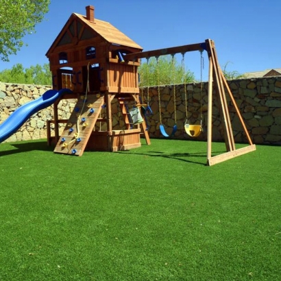 Turf Grass Middleton, Tennessee Landscape Ideas, Backyard Design