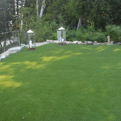 Turf Grass Pittman Center, Tennessee Landscape Photos, Backyard