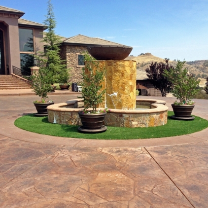 Turf Grass Rural Hill, Tennessee Backyard Deck Ideas, Front Yard Landscaping Ideas