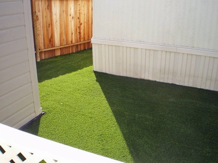 Artificial Grass Carpet Allardt, Tennessee Landscaping Business, Backyard Makeover