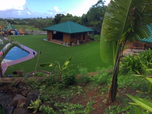 Artificial Grass Carpet Bartlett, Tennessee Lawn And Garden, Backyard Pool