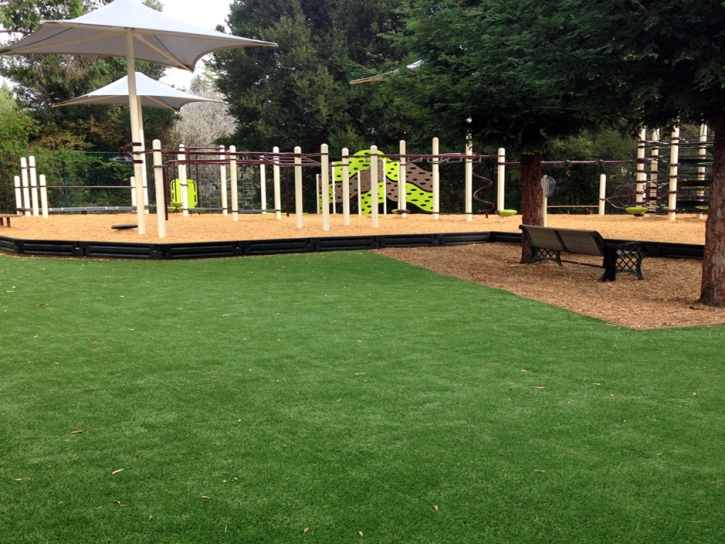 Artificial Grass Carpet Braden, Tennessee Playground Turf, Backyard Garden Ideas