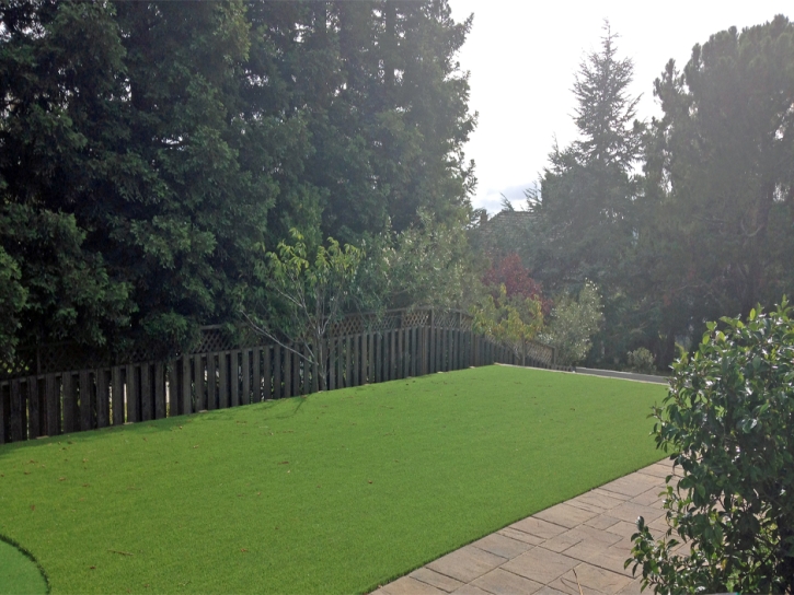 Artificial Grass Carpet Elizabethton, Tennessee Backyard Deck Ideas, Backyard Landscaping