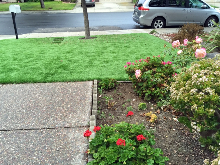 Artificial Grass Carpet Lone Oak, Tennessee Lawns, Landscaping Ideas For Front Yard