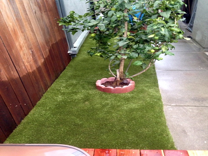 Artificial Grass Carpet Niota, Tennessee City Landscape, Backyard Landscaping