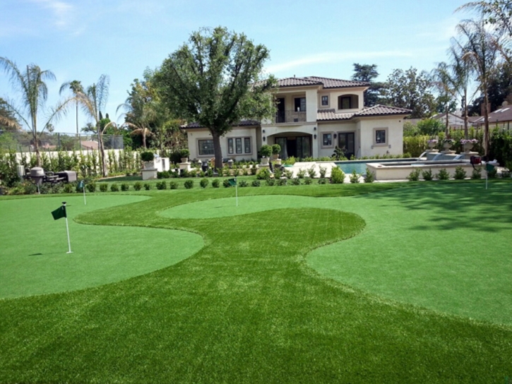 Artificial Grass Carpet Saint Joseph, Tennessee Putting Green Carpet, Small Front Yard Landscaping