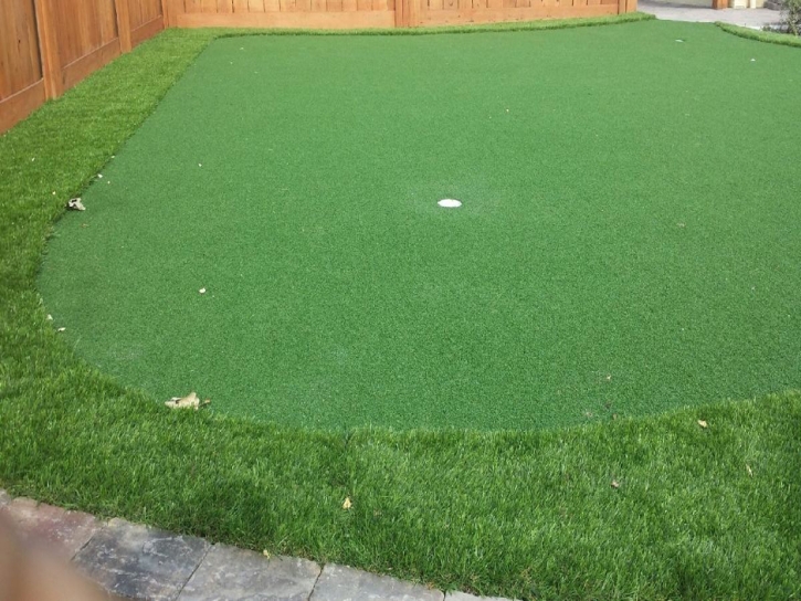 Artificial Grass Carpet South Pittsburg, Tennessee Diy Putting Green