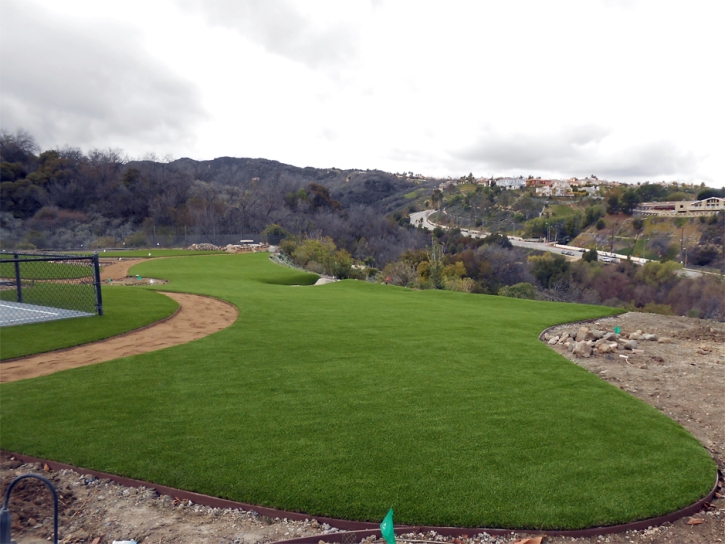 Artificial Grass Hornsby, Tennessee Football Field