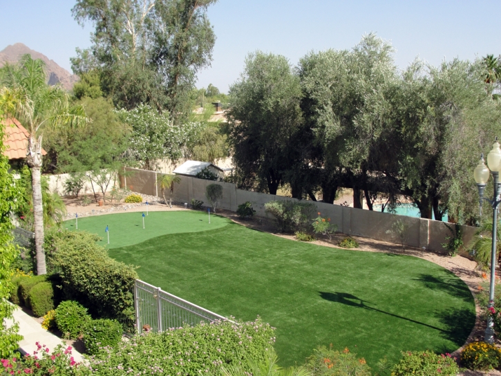 Artificial Grass Installation Signal Mountain, Tennessee Landscape Photos, Backyard