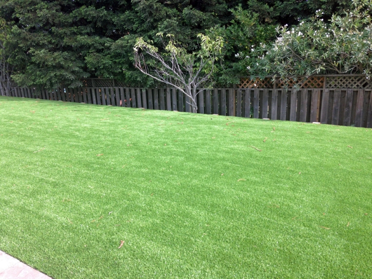 Artificial Grass Installation Smyrna, Tennessee Garden Ideas, Backyard Landscaping
