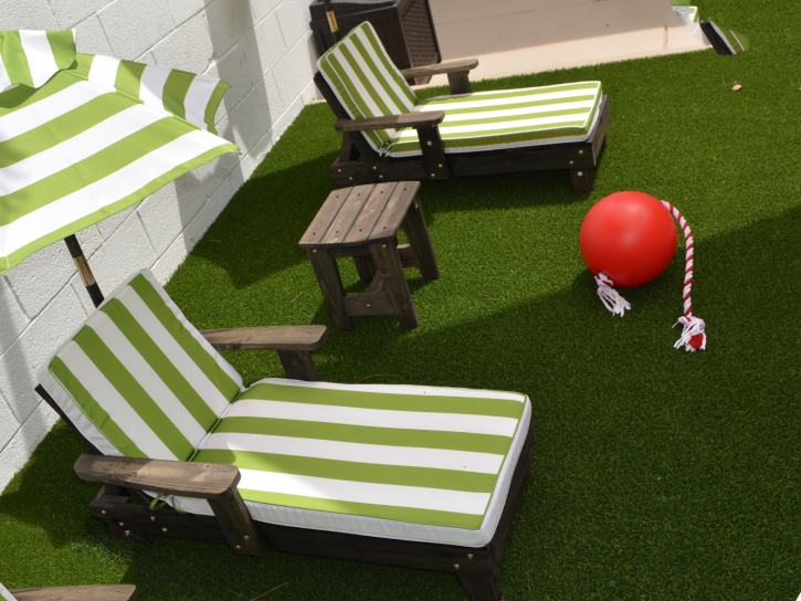 Artificial Grass Pigeon Forge, Tennessee Lawn And Garden, Backyard Design