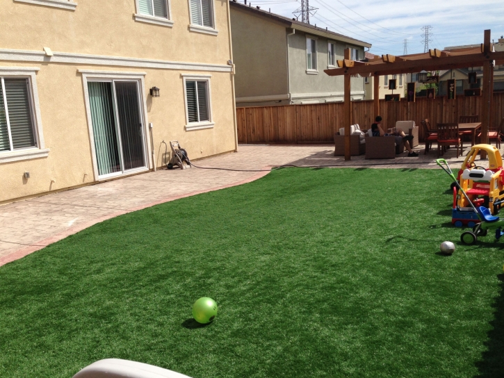 Artificial Grass Tazewell, Tennessee Landscape Ideas, Beautiful Backyards