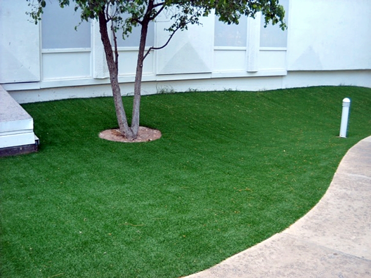 Artificial Lawn Alexandria, Tennessee Landscape Photos, Commercial Landscape