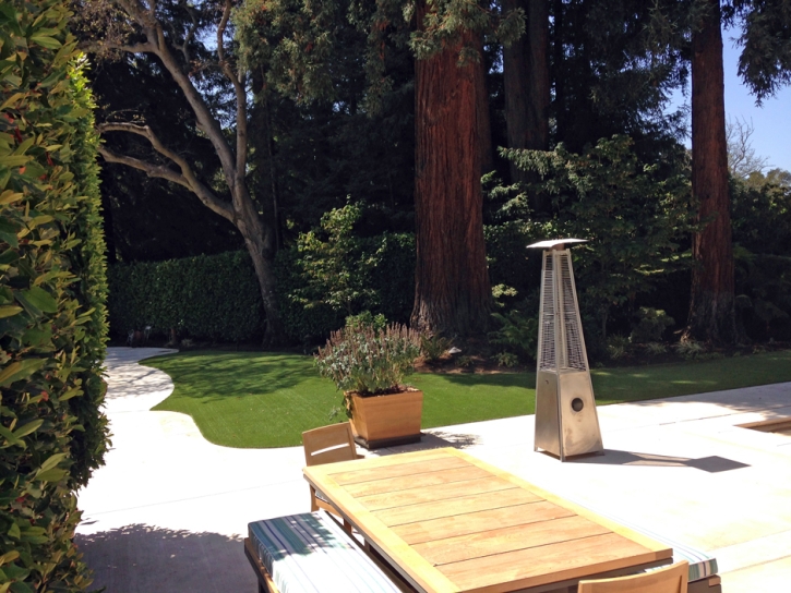 Artificial Lawn Cedar Hill, Tennessee Landscape Design, Backyard Landscaping Ideas