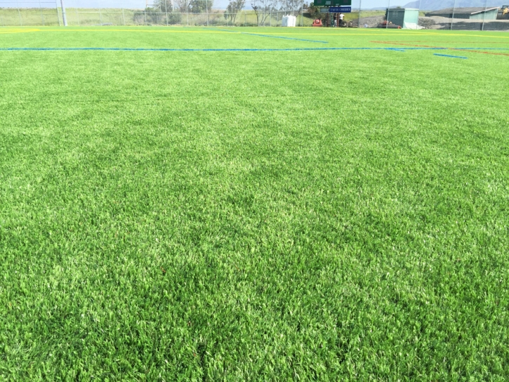 Artificial Lawn LaFollette, Tennessee Backyard Playground