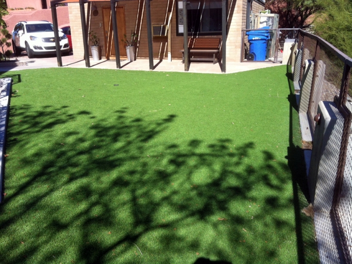 Artificial Lawn Middleton, Tennessee Home And Garden, Backyard Designs