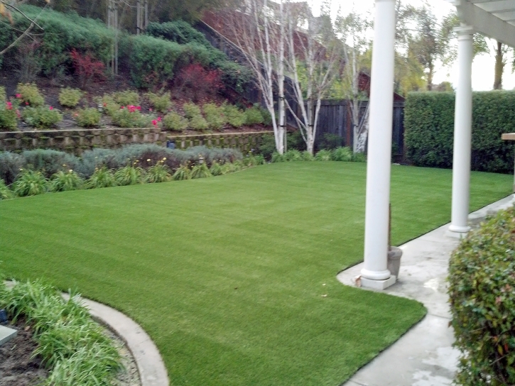 Artificial Lawn Yorkville, Tennessee Lawn And Garden, Backyard Designs