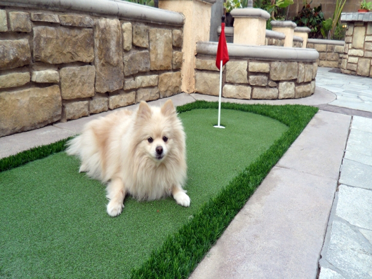 Artificial Turf Cost Loudon, Tennessee Putting Green Flags, Backyard Landscape Ideas