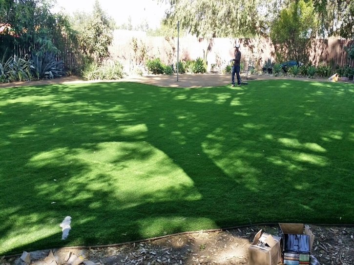 Artificial Turf Cost Mooresburg, Tennessee Landscaping, Backyard Landscaping Ideas