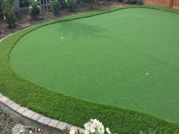 Artificial Turf Cost Robbins, Tennessee Gardeners, Backyard Landscaping