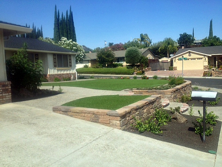 Artificial Turf Dowelltown, Tennessee Home And Garden, Landscaping Ideas For Front Yard