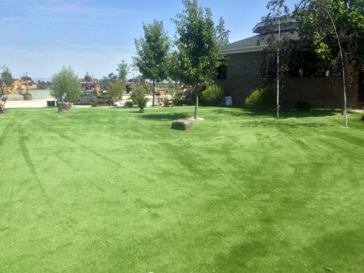Artificial Turf Elkton, Tennessee Landscape Ideas, Recreational Areas
