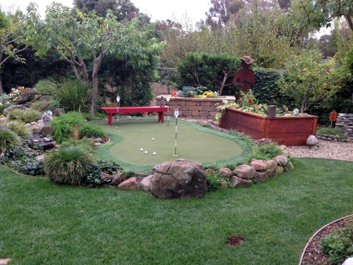 Artificial Turf Installation Centerville, Tennessee Outdoor Putting Green, Backyard Landscaping