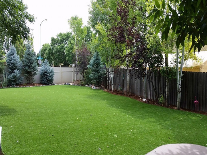 Artificial Turf Installation Dyer, Tennessee Indoor Dog Park, Backyard Landscaping