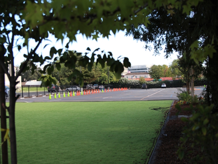 Artificial Turf Installation Halls, Tennessee Athletic Playground, Commercial Landscape