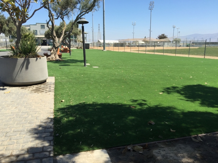 Artificial Turf Installation Rutledge, Tennessee Lawns, Recreational Areas