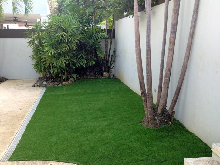 Artificial Turf Spurgeon, Tennessee Roof Top, Backyard Designs