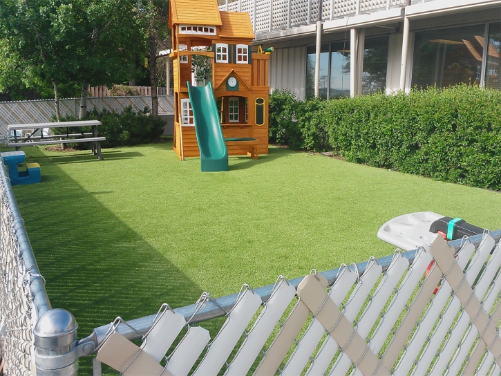 Best Artificial Grass Jacksboro, Tennessee Rooftop, Beautiful Backyards