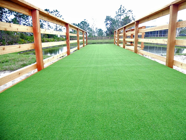 Best Artificial Grass Thompsons Station, Tennessee Indoor Dog Park, Commercial Landscape