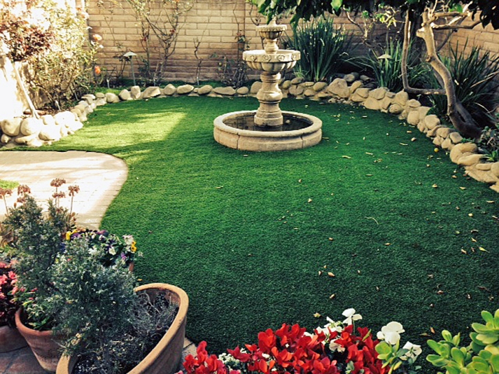 Best Artificial Grass Vanleer, Tennessee Landscape Ideas