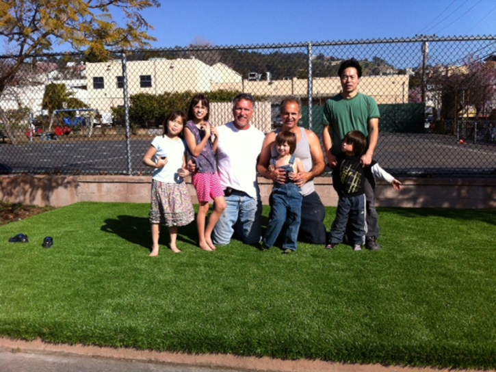 Fake Grass Carpet Hopewell, Tennessee Lawns, Commercial Landscape