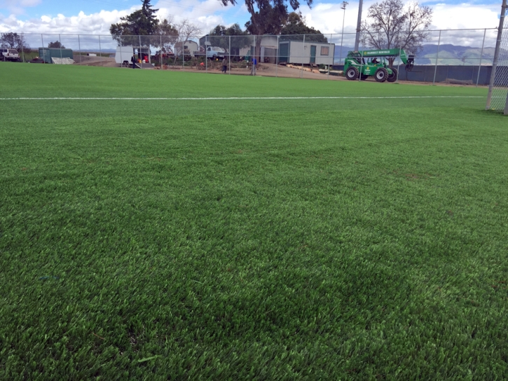 Fake Grass Carpet Oliver Springs, Tennessee Softball