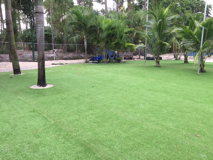 Fake Grass Carpet Rossville, Tennessee Landscape Ideas, Commercial Landscape