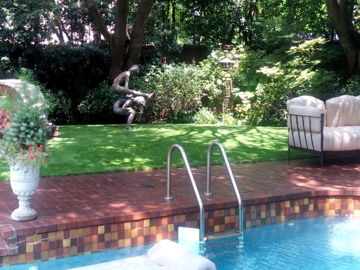 Fake Grass Columbia, Tennessee Paver Patio, Backyards