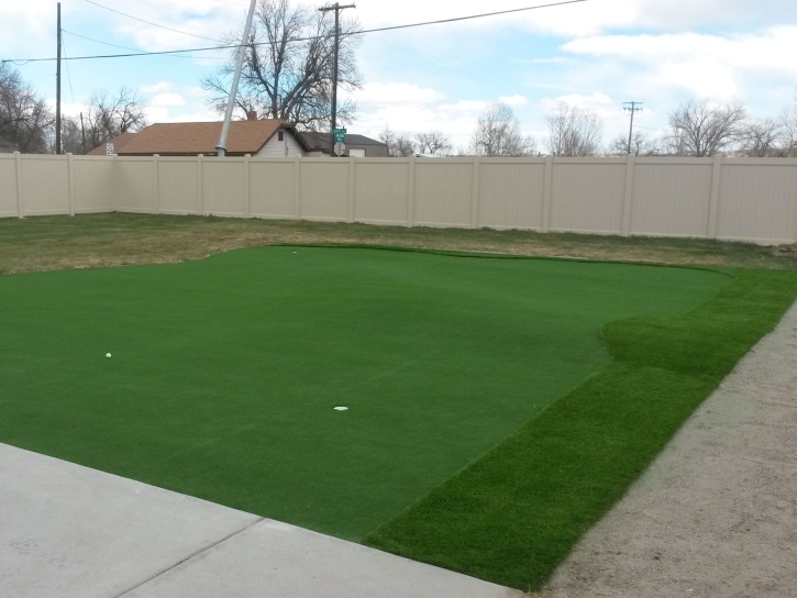 Fake Grass Mason, Tennessee Outdoor Putting Green, Backyards