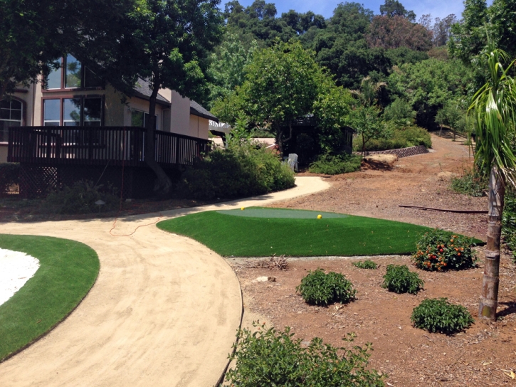 Fake Grass Middle Valley, Tennessee Backyard Putting Green, Front Yard Landscaping