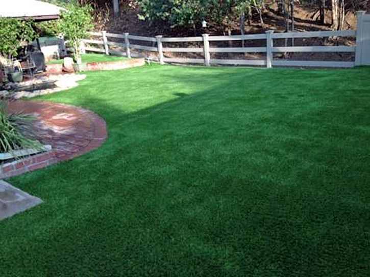 Fake Grass Parker Crossroads, Tennessee Dog Run, Backyard Makeover