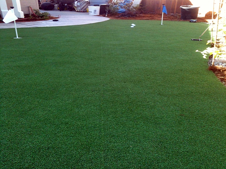 Fake Grass Pulaski, Tennessee Putting Green Grass, Beautiful Backyards