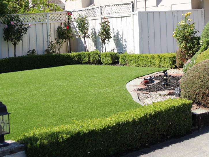 Fake Lawn Fairmount, Tennessee Design Ideas, Backyard Design