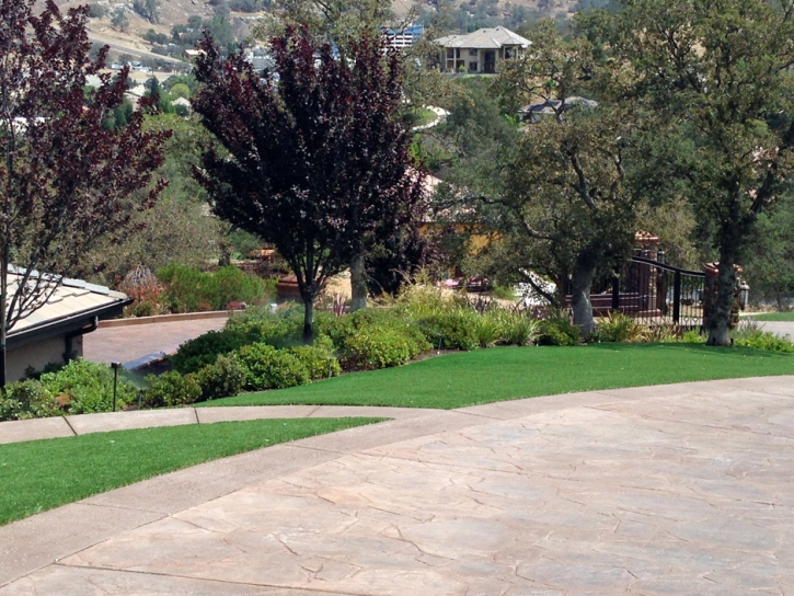 Fake Lawn Green Hill, Tennessee Lawn And Landscape, Front Yard Design