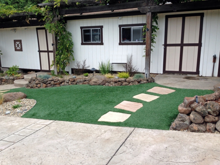 Fake Turf Kingston Springs, Tennessee Backyard Deck Ideas, Front Yard Design